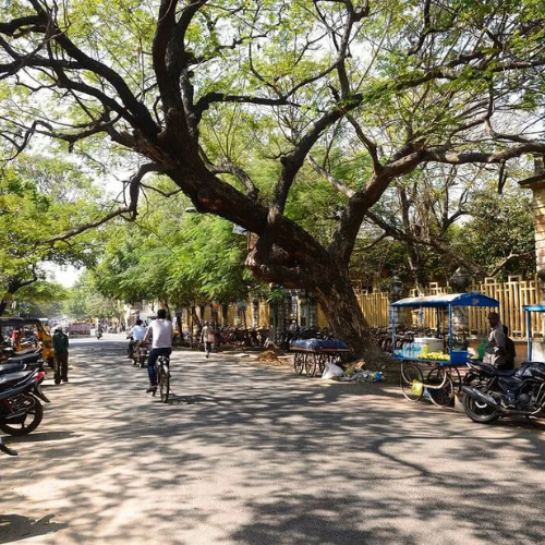 Untitled design - 2026-01-08T120657.539