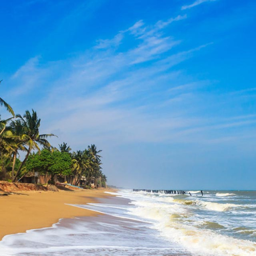 Untitled design - 2026-01-08T130317.766