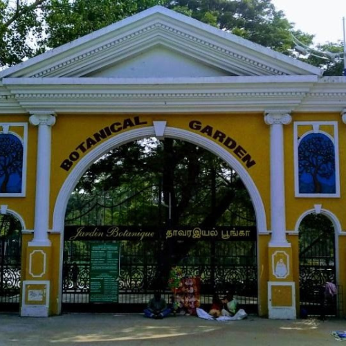 Untitled design - 2026-01-08T131330.208