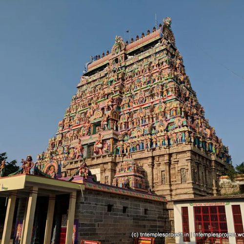 Untitled design - 2026-01-10T130308.418