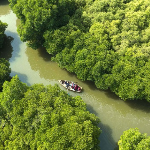 Untitled design - 2026-01-10T131251.639