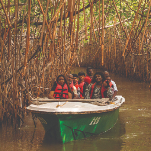 Untitled design - 2026-01-10T131256.724