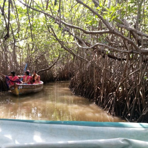 Untitled design - 2026-01-10T131305.243