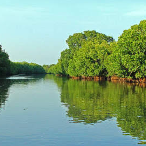 Untitled design - 2026-01-10T131316.721