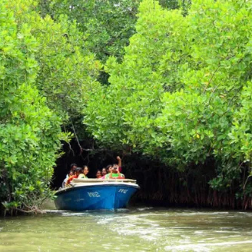 Untitled design - 2026-01-10T131323.306