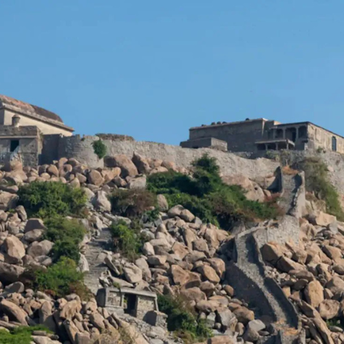 Untitled design - 2026-01-10T131651.539