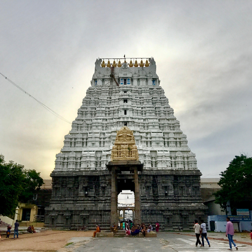 Untitled design - 2026-01-10T132758.558